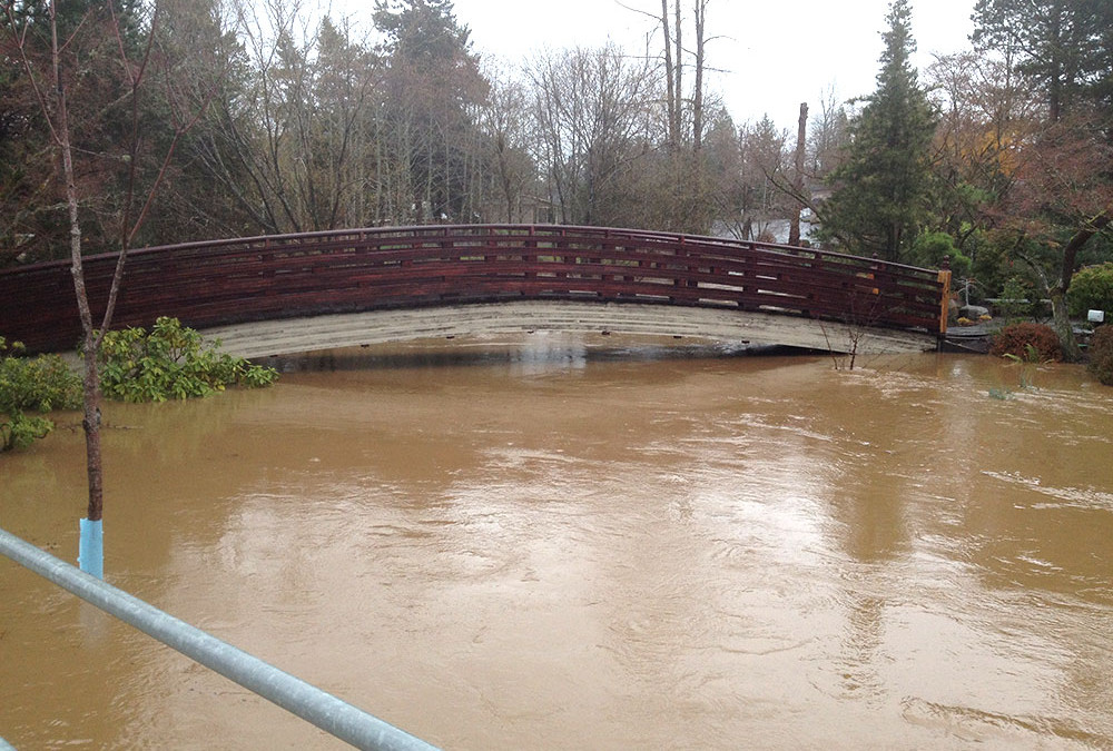 Flooding affects the Japanese Garden at Main City Park