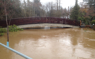 Flooding affects the Japanese Garden at Main City Park