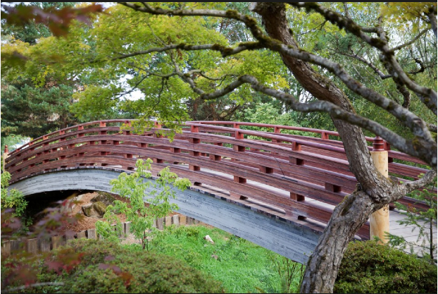 Grassroots Japanese Garden in Gresham