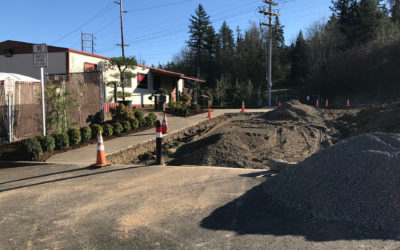 10 Trees in 10 Parks for 10 Years!