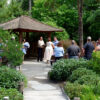 Japanese Garden, Ebetsu Plaza, and Kyoudou Center - Image 5