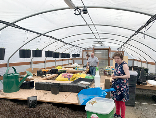 greenhouse3