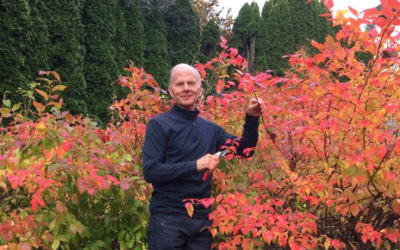 Organic Vegetable Gardening: A Beginner’s Guide