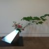 Ikebana for the Season - Image 6