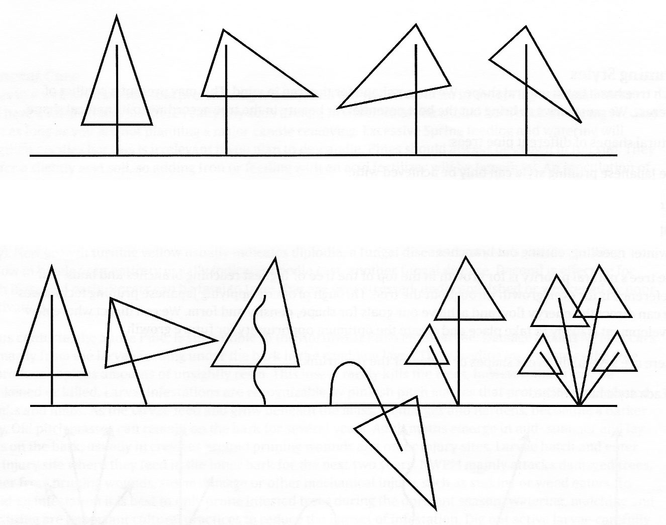 pine tree shapes