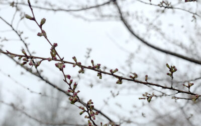 March 14, 2025-2