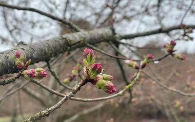March 16