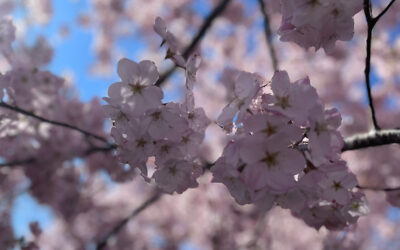 March 26