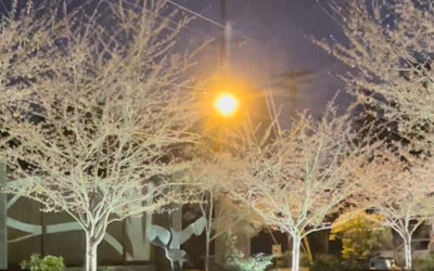 Saturday, March 22 – 8:30pm