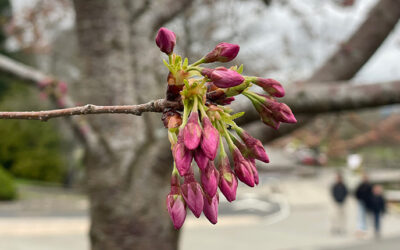 March 23