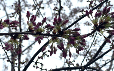 March 23