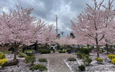 Wednesday, April 2