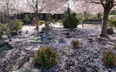 Friday, April 4